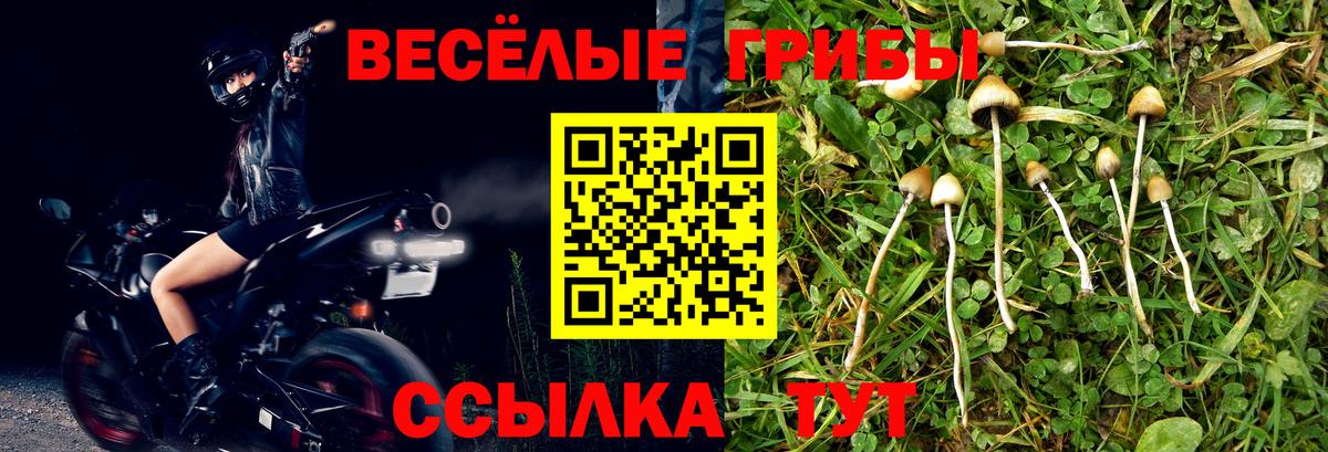 Магадан  Псилоцибиновые грибы GOLDEN TEACHER  Вход с VPN  Псилоцибиновые грибы прущие грибы 