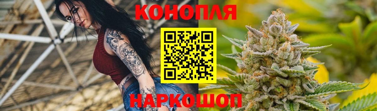 Бошки Шишки MAZAR Магадан